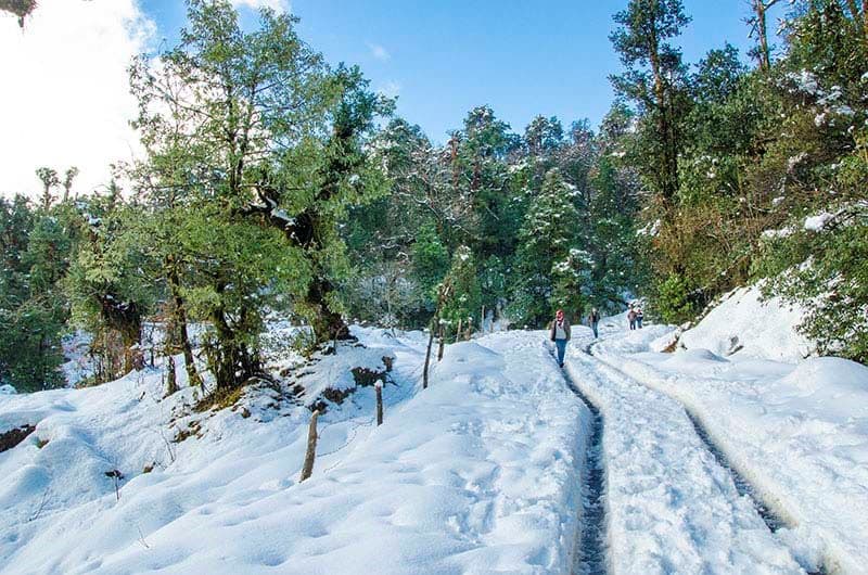 Chopta Travel Tips &#8211; Winter Chandrashila Trekking Tips and Guide