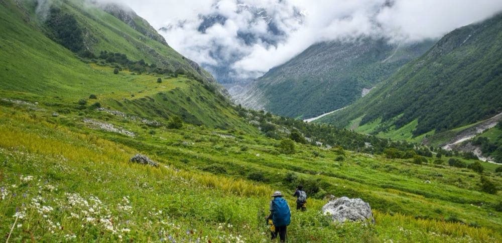 Best Time to Visit Valley of Flowers (Reach, Permits, and Entry Fees)