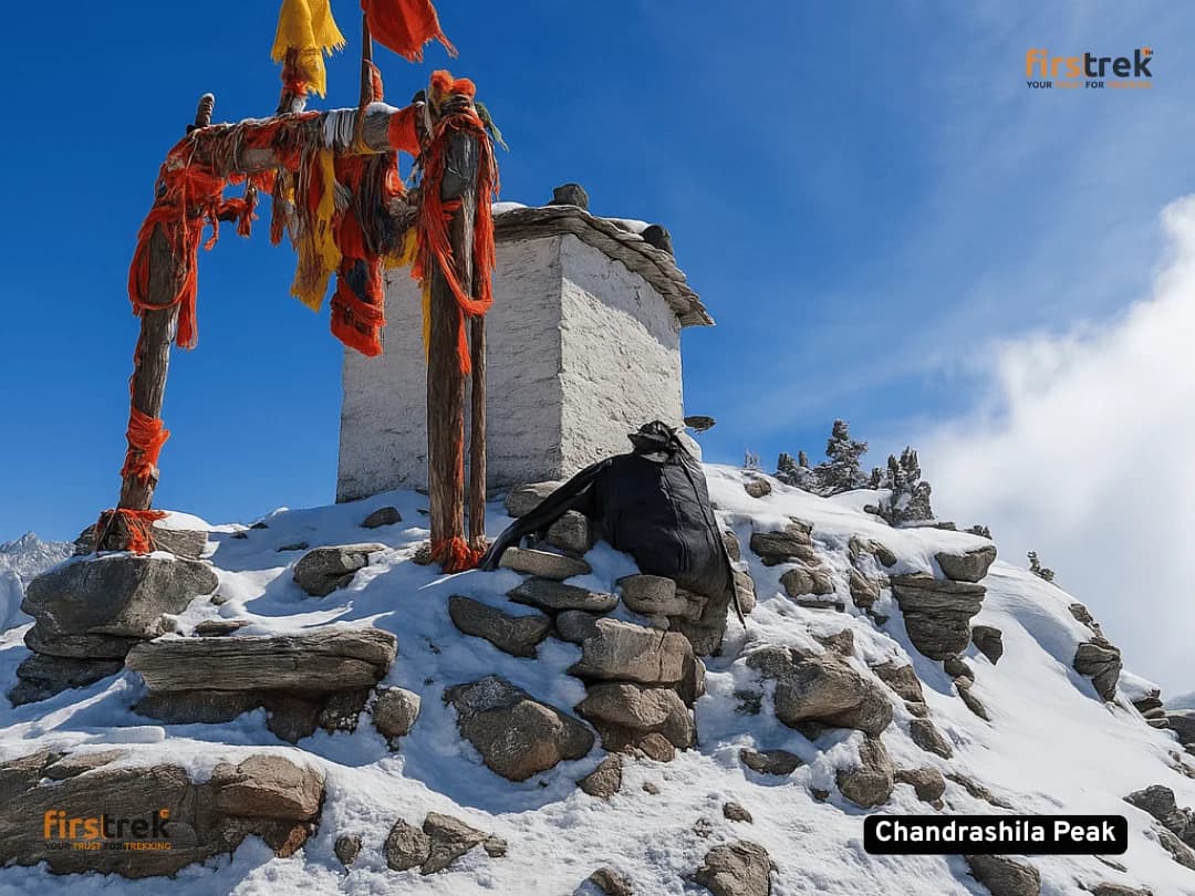 Chopta Chandrashila Tungnath Trek - Gallery image Chopta Chandrashila Tungnath Trek - Gallery image