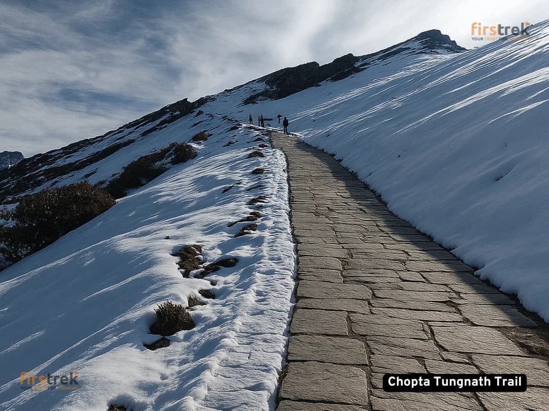 Chopta Chandrashila Tungnath Trek - Gallery image Chopta Chandrashila Tungnath Trek - Gallery image