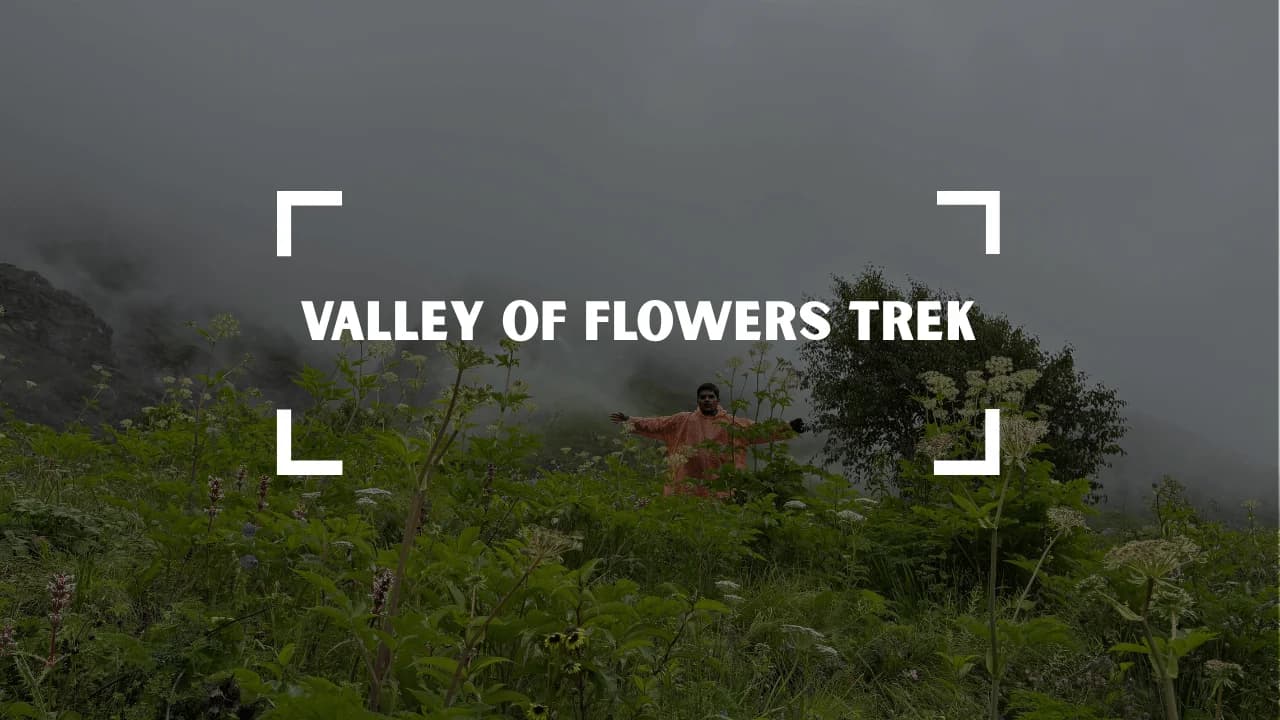 Valley of Flowers - Trek featured image