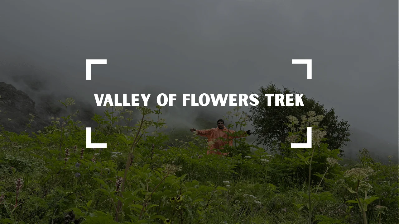 Valley of Flowers - Trek featured image