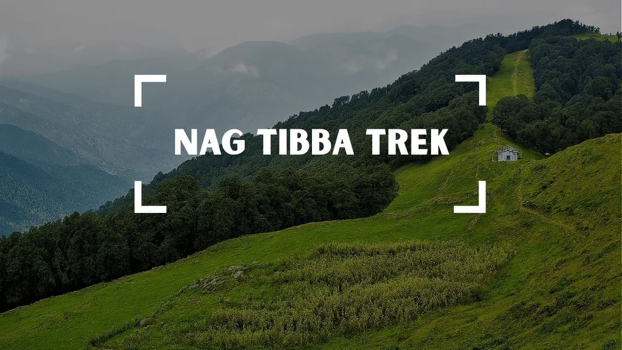 Nag Tibba Trek - Trek featured image