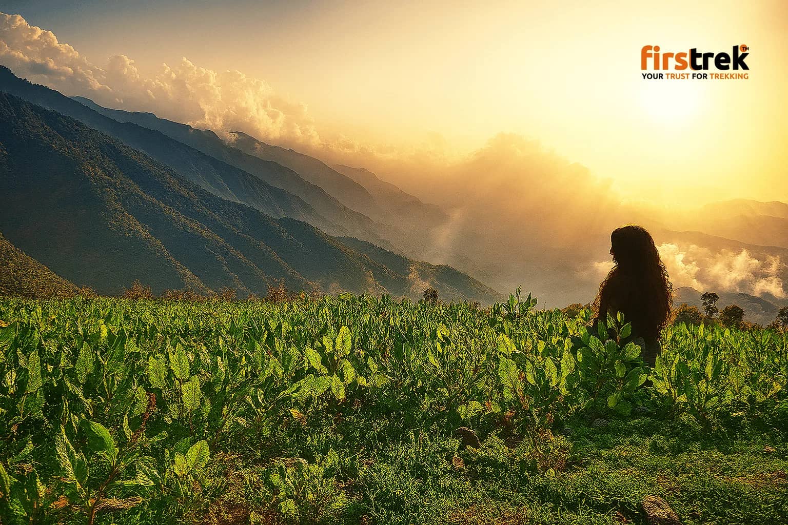 Nag Tibba Trek - Hero image