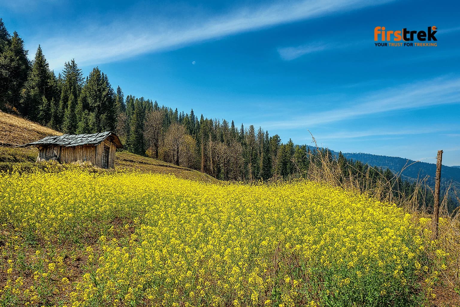 Nag Tibba Trek - Gallery image Nag Tibba Trek - Gallery image